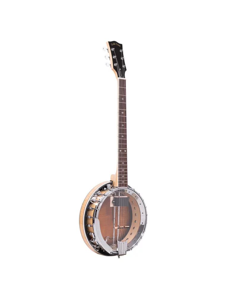  GOLD TONE GT-750|MusicGoodDeal 