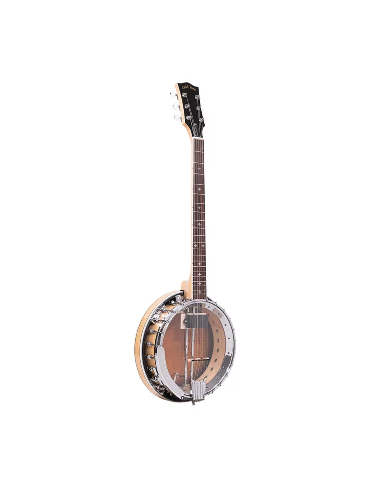  GOLD TONE GT-750|MusicGoodDeal 