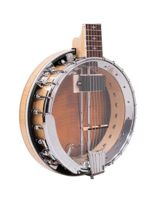  GOLD TONE GT-750|MusicGoodDeal 
