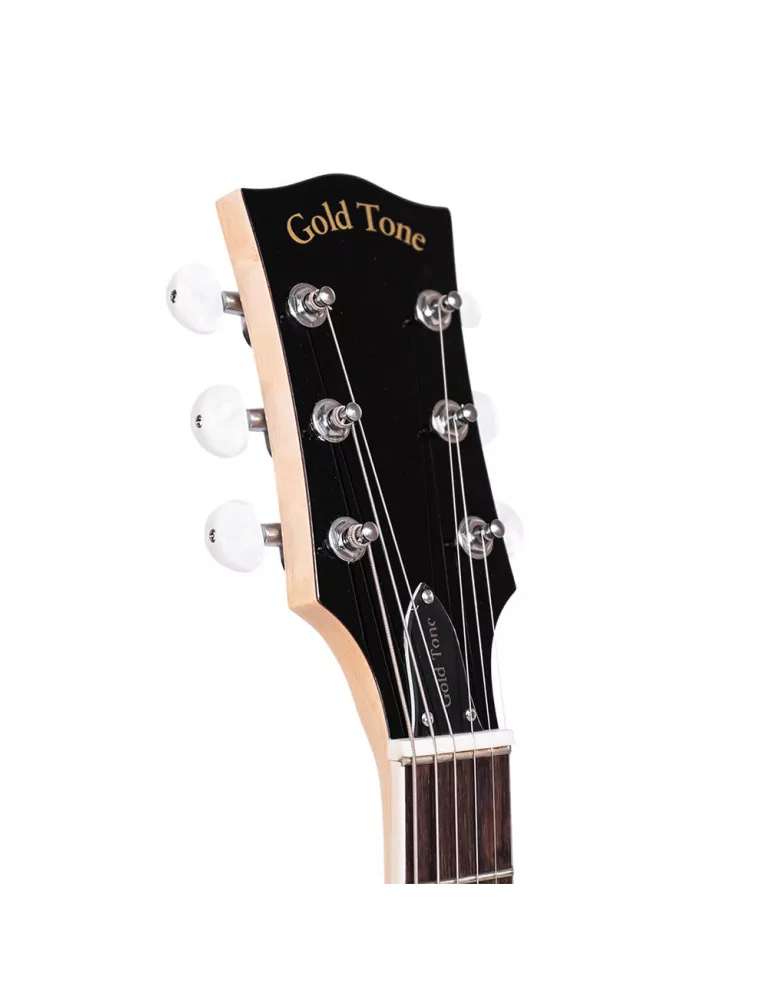  GOLD TONE GT-750|MusicGoodDeal 