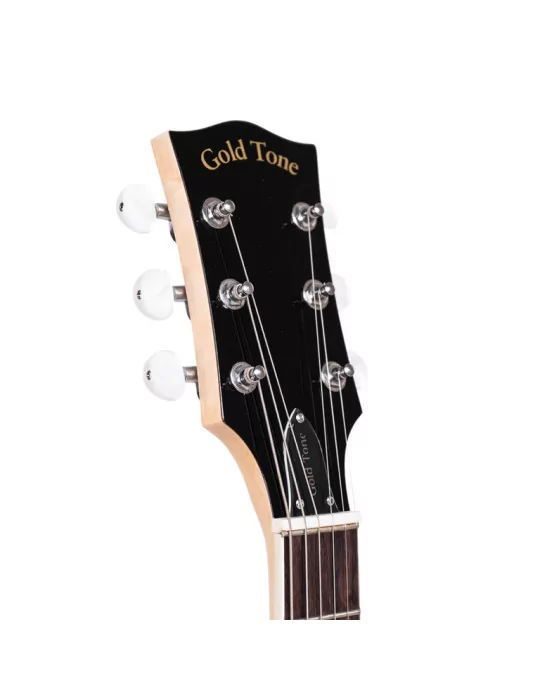  GOLD TONE GT-750|MusicGoodDeal 