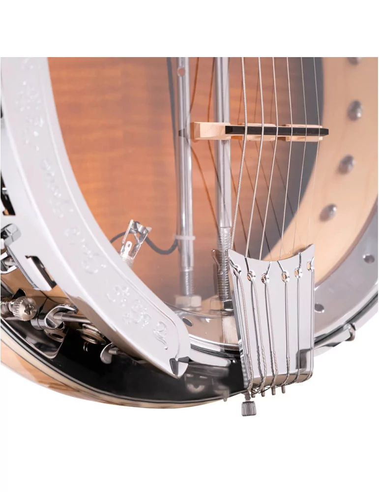  GOLD TONE GT-750|MusicGoodDeal 