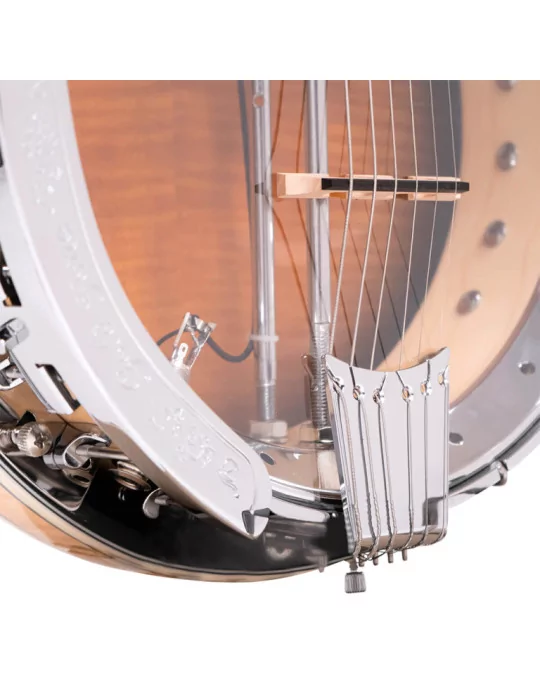  GOLD TONE GT-750|MusicGoodDeal 