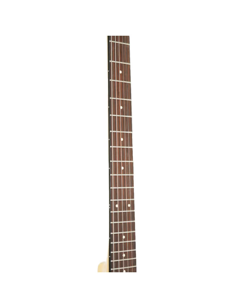  GOLD TONE BT-1000 6-Saiter Banjitar offener Bautyp mit Tasche|MusicGoodDeal 