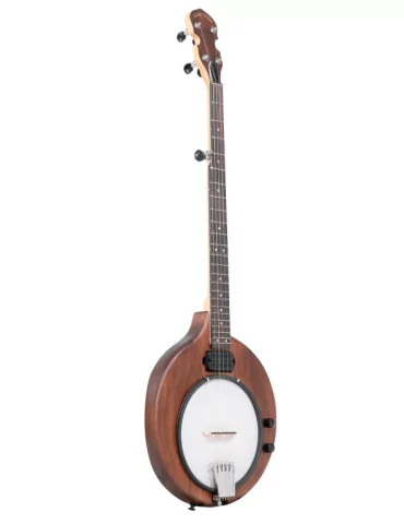  GOLD TONE EB-5 5-string electric banjo with bag|MusicGoodDeal 