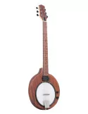  GOLD TONE EB-6 Banjitar eléctrico con bolsa|MusicGoodDeal 