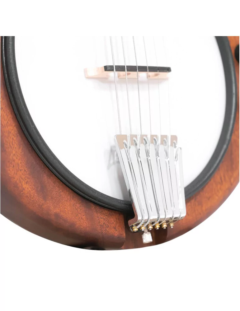  GOLD TONE EB-6 Elektrisches Banjitar mit Gigbag|MusicGoodDeal 