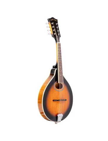  GOLD TONE GM-50+ A-style mandolin with pickup and bag included|MusicGoodDeal  2