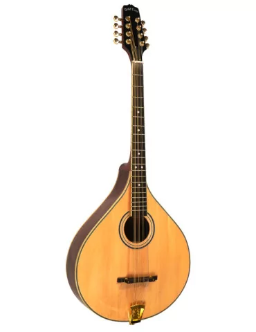  GOLD TONE OM-800+ Octave mandolin with case|MusicGoodDeal 