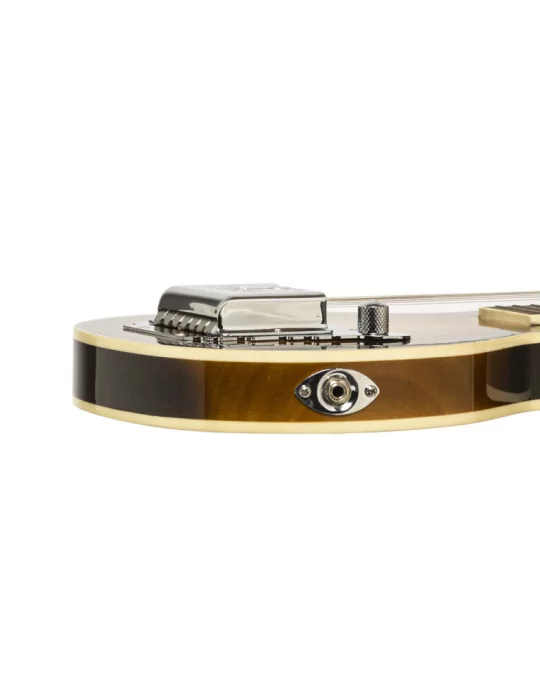  GOLD TONE LS-6 6-Saiter Lapsteel-Gitarre mit Mahagonidecke|MusicGoodDeal 