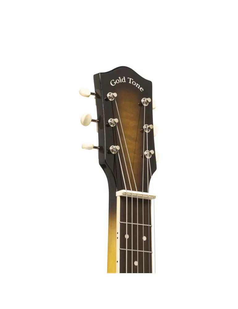  GOLD TONE LS-6 6-Saiter Lapsteel-Gitarre mit Mahagonidecke|MusicGoodDeal 