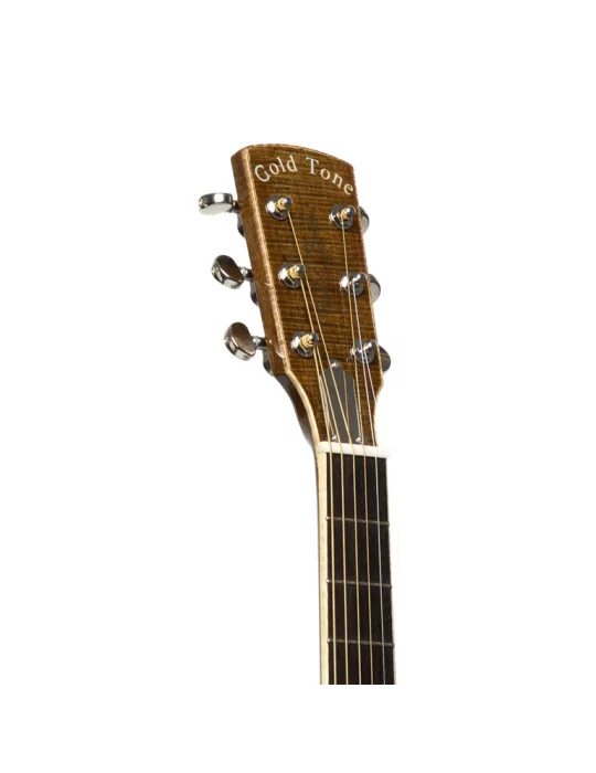  GOLD TONE GRE Paul Beard metal body resonator guitar with pickup|MusicGoodDeal 