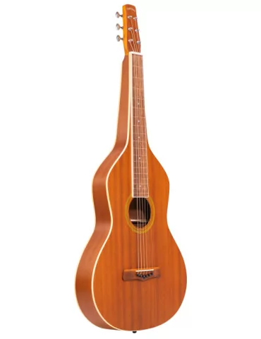 GOLD TONE GT-WB | MusicGoodDeal