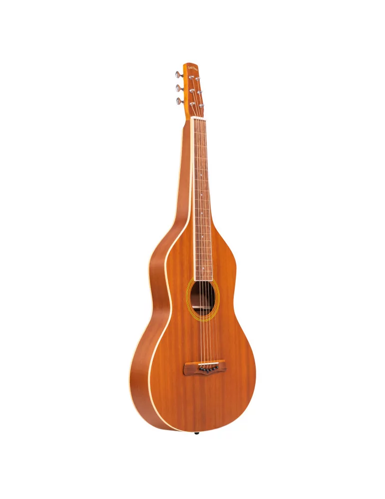 GOLD TONE GT-WB | MusicGoodDeal