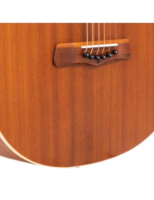 GOLD TONE GT-WB | MusicGoodDeal