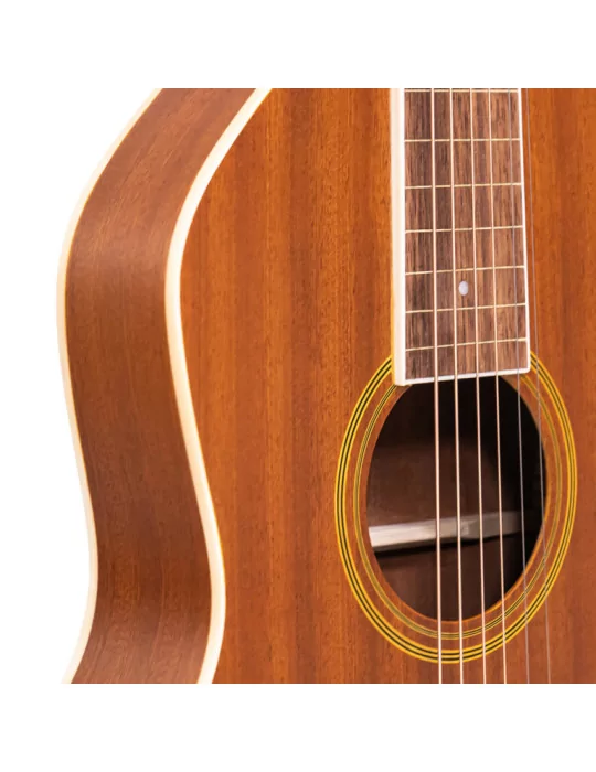 GOLD TONE GT-WB | MusicGoodDeal