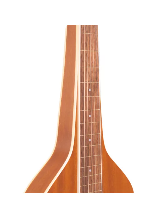 GOLD TONE GT-WB | MusicGoodDeal