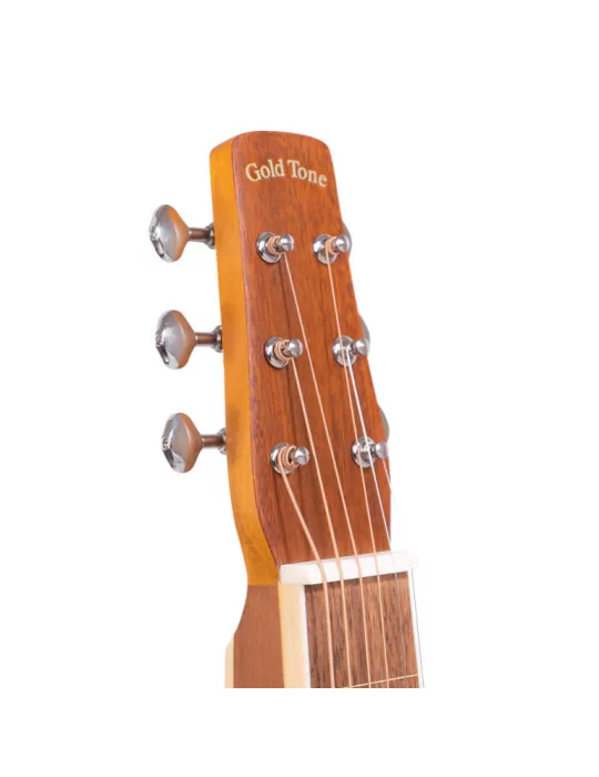 GOLD TONE GT-WB | MusicGoodDeal