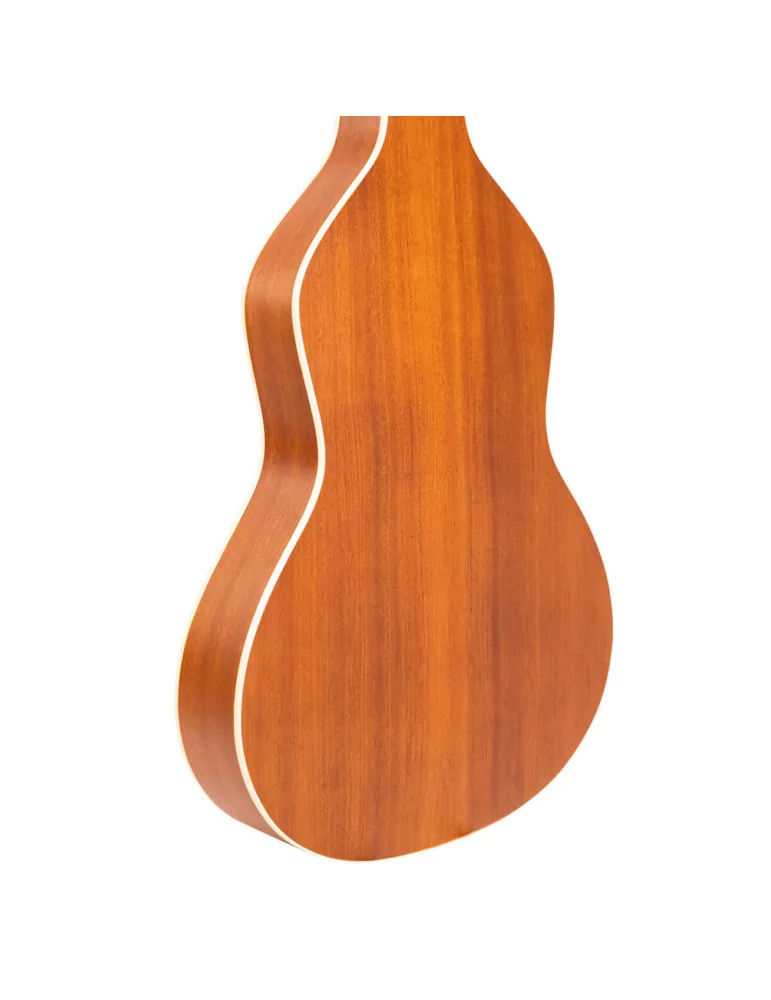 GOLD TONE GT-WB | MusicGoodDeal
