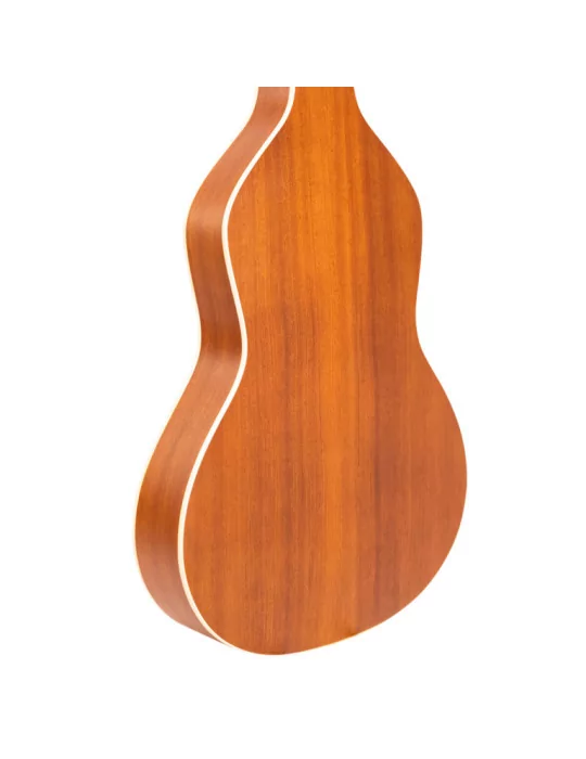GOLD TONE GT-WB | MusicGoodDeal
