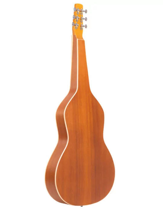 GOLD TONE GT-WB | MusicGoodDeal