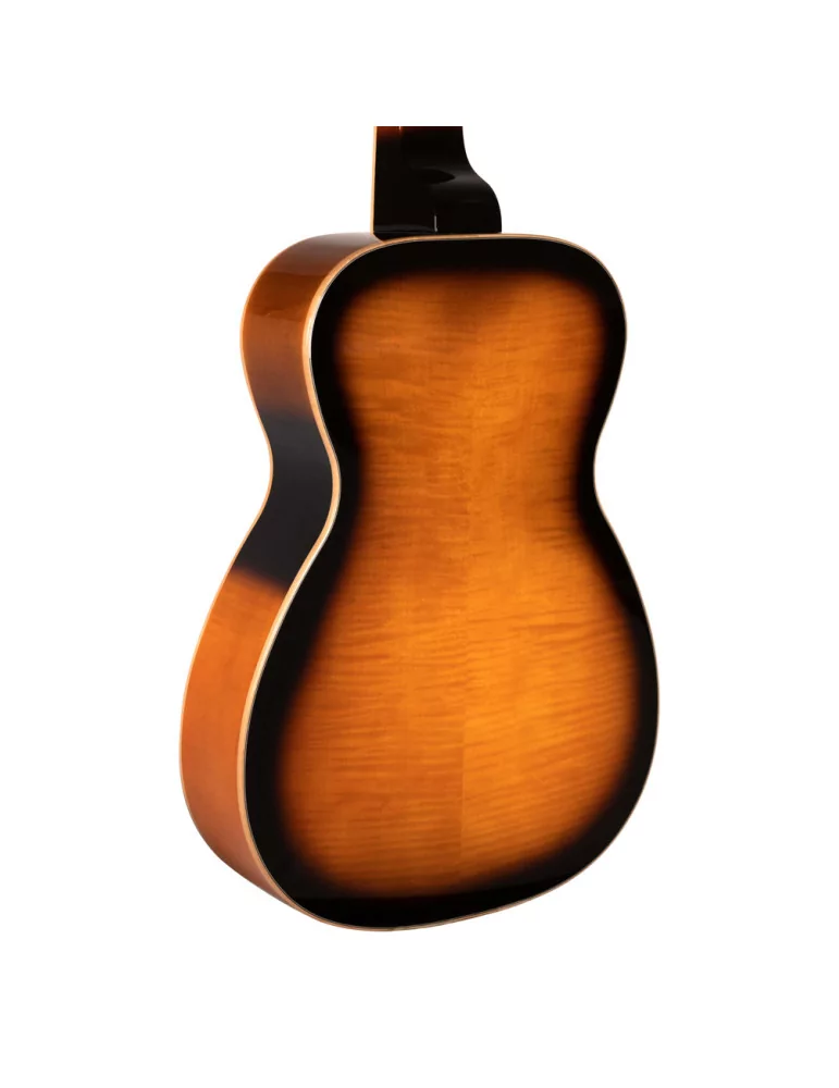  GOLD TONE PBS-D Guitarra resonadora Paul Beard con mástil cuadrado, Deluxe|MusicGoodDeal 