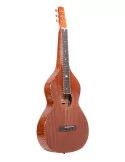 GOLD TONE SM  | MusicGoodDeal
