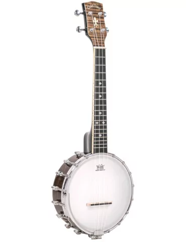 GOLD TONE BANJOLELE | MusicGoodDeal
