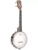 GOLD TONE BANJOLELE | MusicGoodDeal
