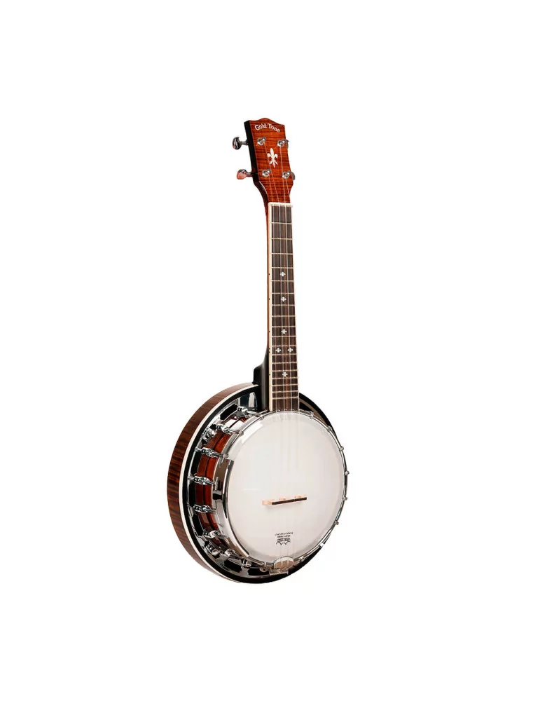 GOLD TONE BANJOLELE DLX | MusicGoodDeal