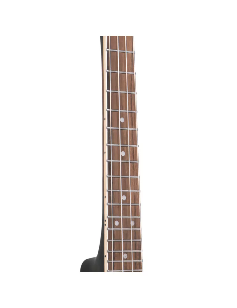  GOLD TONE BUC 4-string concert banjo-ukulele with case|MusicGoodDeal 