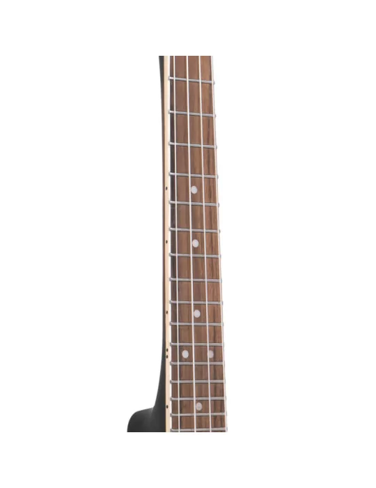  GOLD TONE BUC 4-string concert banjo-ukulele with case|MusicGoodDeal 