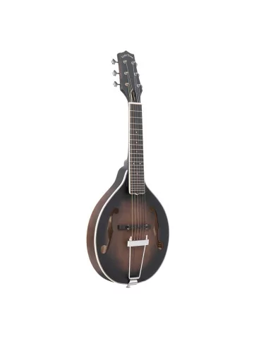  GOLD TONE A-6 Guitar mandolin with A-style body and bag|MusicGoodDeal  2