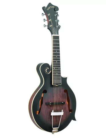  GOLD TONE F-6 6-string guitar mandolin with F-style body, pickup and case|MusicGoodDeal 