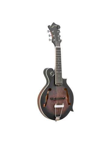  GOLD TONE F-6 6-string guitar mandolin with F-style body, pickup and case|MusicGoodDeal  2