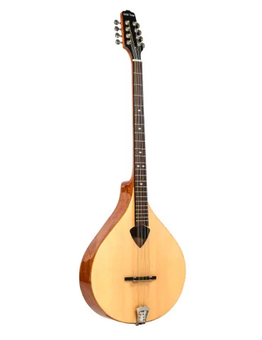  GOLD TONE BZ-500 Irish bouzouki mandolin with hard case|MusicGoodDeal 
