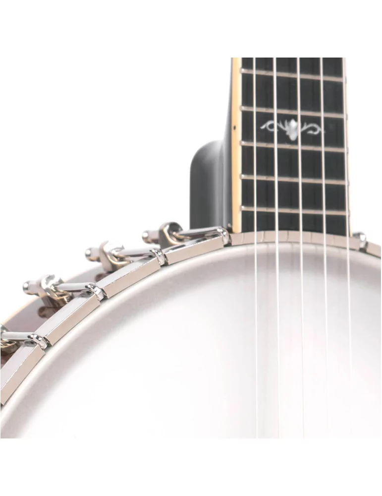  GOLD TONE CEB-5 5-Saiter Cello-Banjo mit Case|MusicGoodDeal 