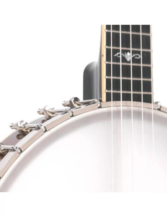 GOLD TONE CEB-5 5-Saiter Cello-Banjo mit Case|MusicGoodDeal 