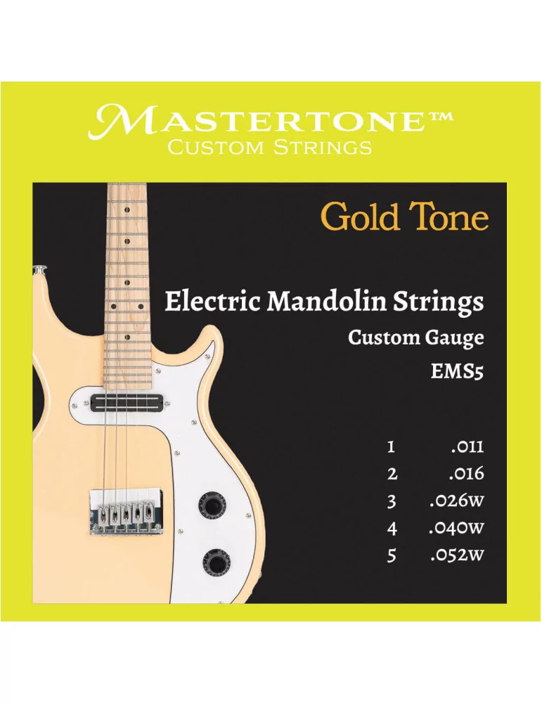 GOLD TONE EMS5 | MusicGoodDeal