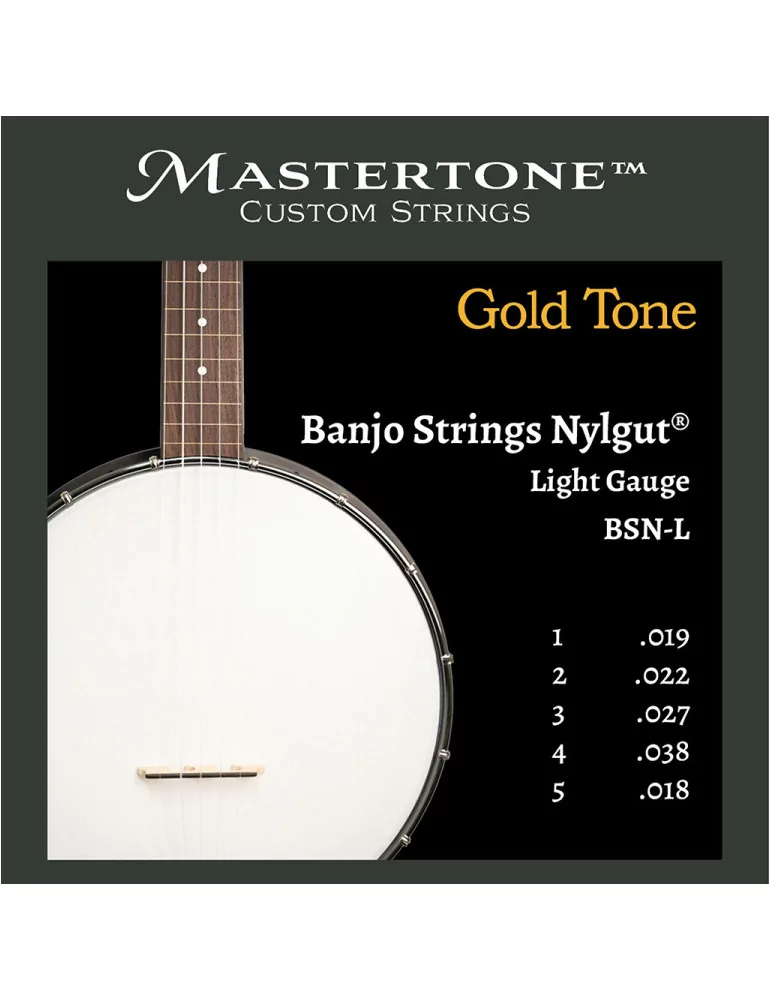 GOLD TONE BSN-L | MusicGoodDeal