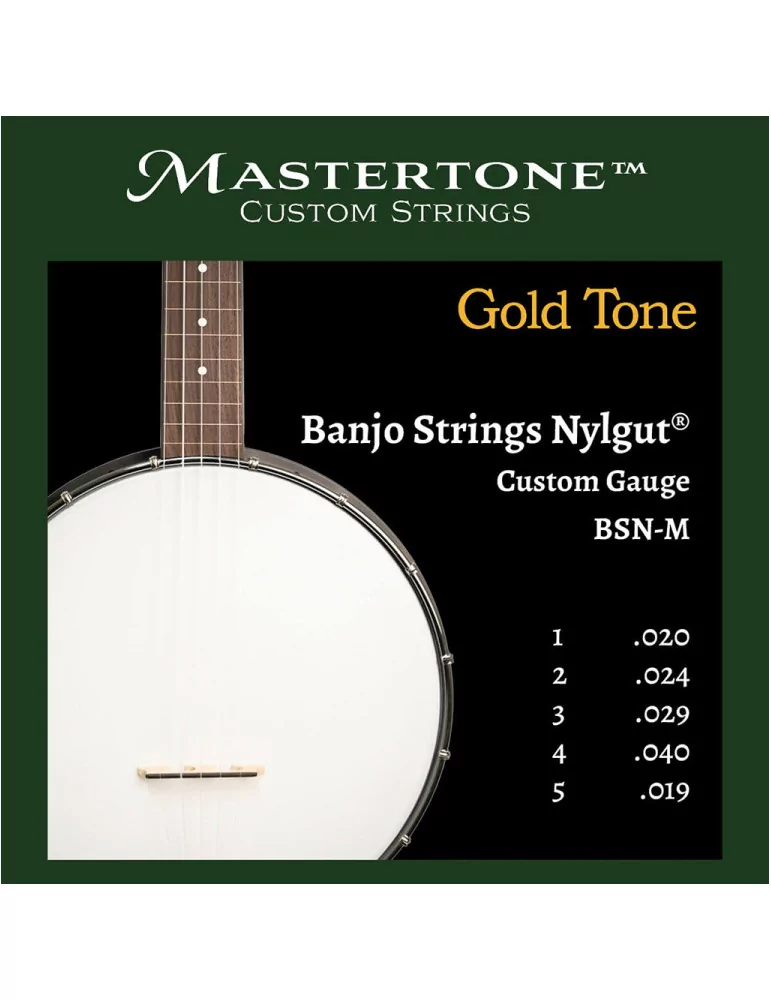 GOLD TONE BSN-M | MusicGoodDeal
