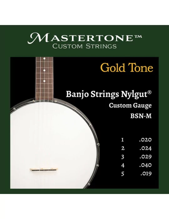 GOLD TONE BSN-M | MusicGoodDeal