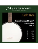 GOLD TONE BSN-M | MusicGoodDeal