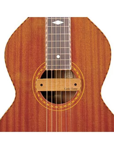  GOLD TONE WBM Weissenborn guitar pickup|MusicGoodDeal  2