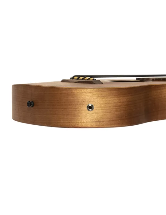  GOLD TONE M-BASS/FL Micrófono de bajo electroacústico de 23 ", sin trastes, con tapa de caoba y estuche incluidos|MusicGoodDeal