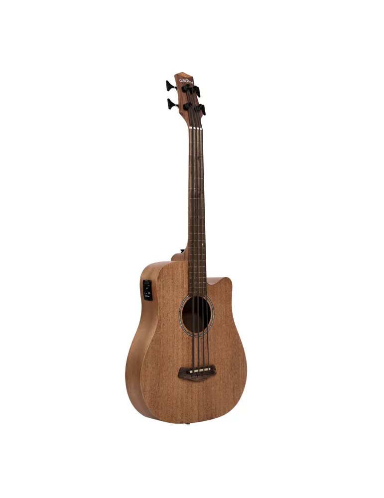  GOLD TONE M-BASS25/FL|MusicGoodDeal 