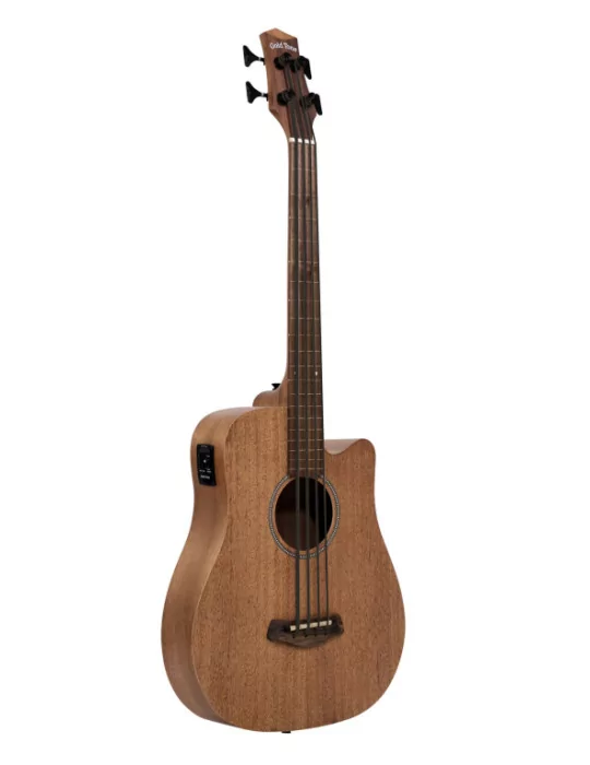  GOLD TONE M-BASS25/FL|MusicGoodDeal 