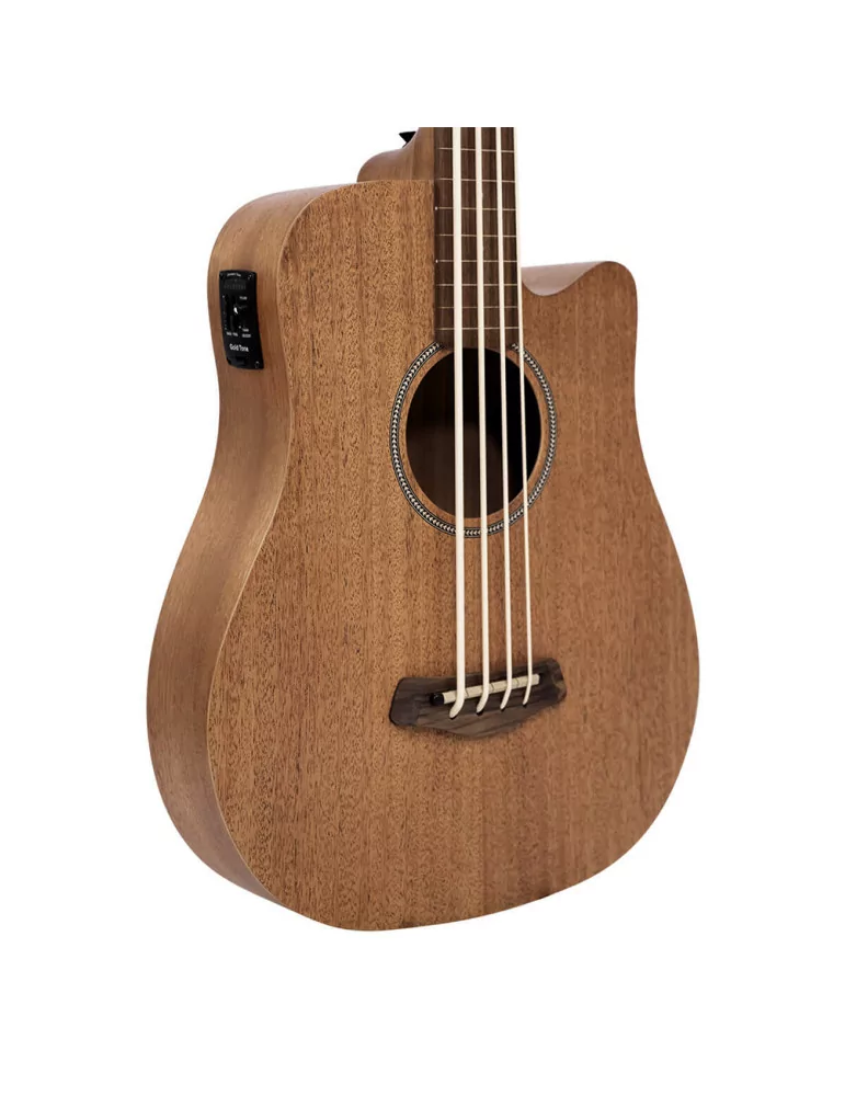  GOLD TONE M-BASS25/FL|MusicGoodDeal 