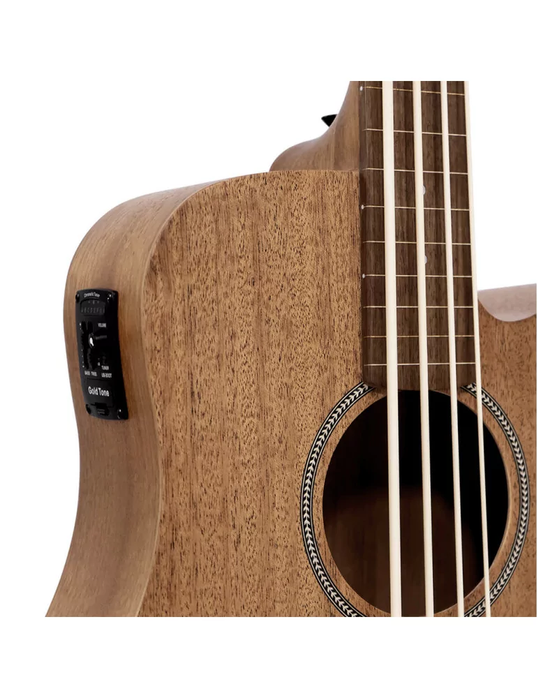  GOLD TONE M-BASS25/FL|MusicGoodDeal 