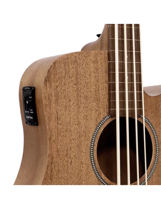  GOLD TONE M-BASS25/FL|MusicGoodDeal 